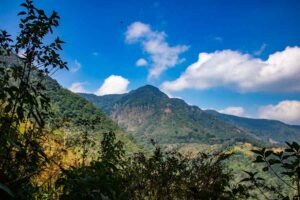 Ruta de los peregrinos_13