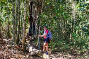 Ruta de los peregrinos_14